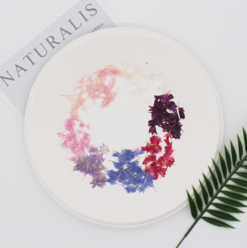 20 Plant Specimens, Cornflower - đánh giá và giá Resin Art Sticker