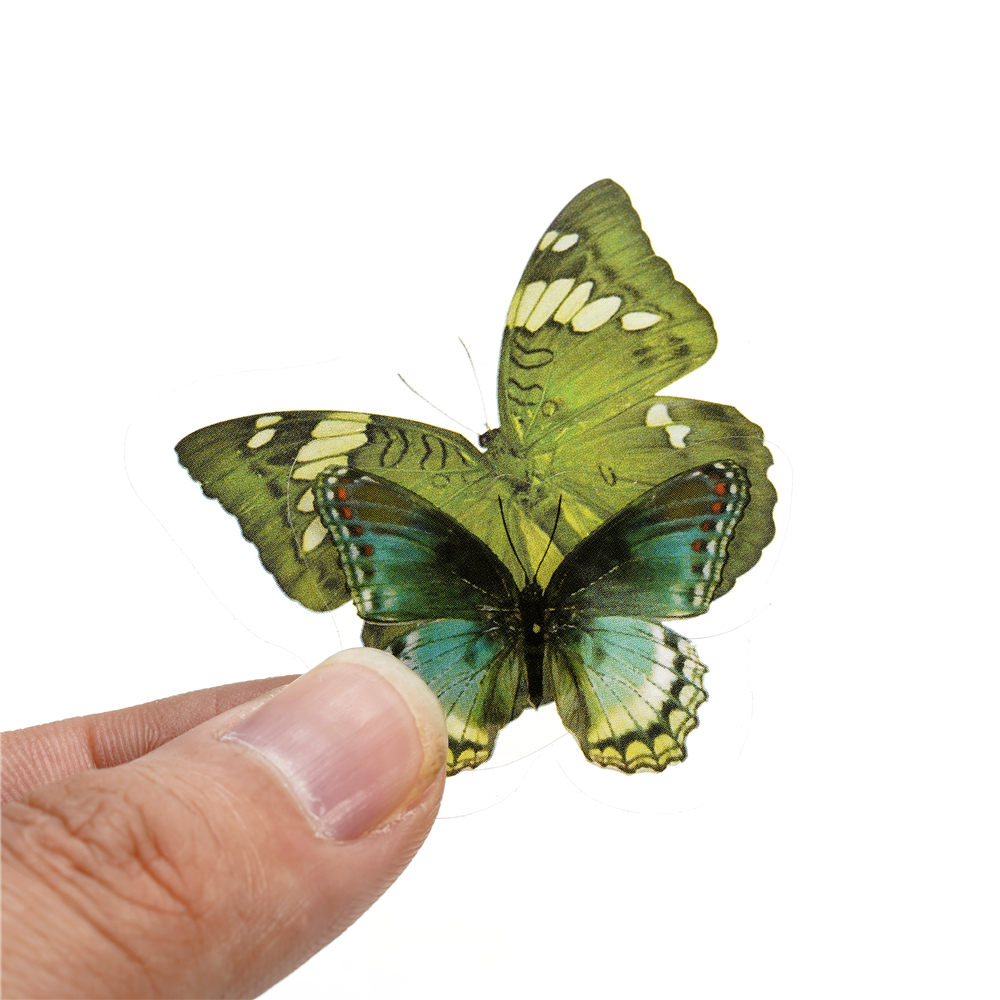 40pcs Colorful Butterfly Wings - đánh giá và giá Resin Art Sticker